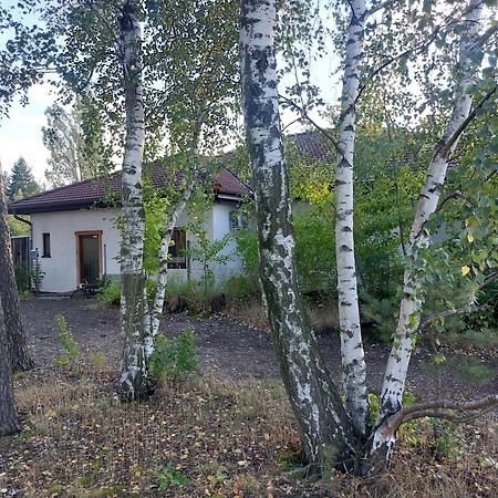 Apartment Gnubbel Am Wald Weisswasser Luaran gambar