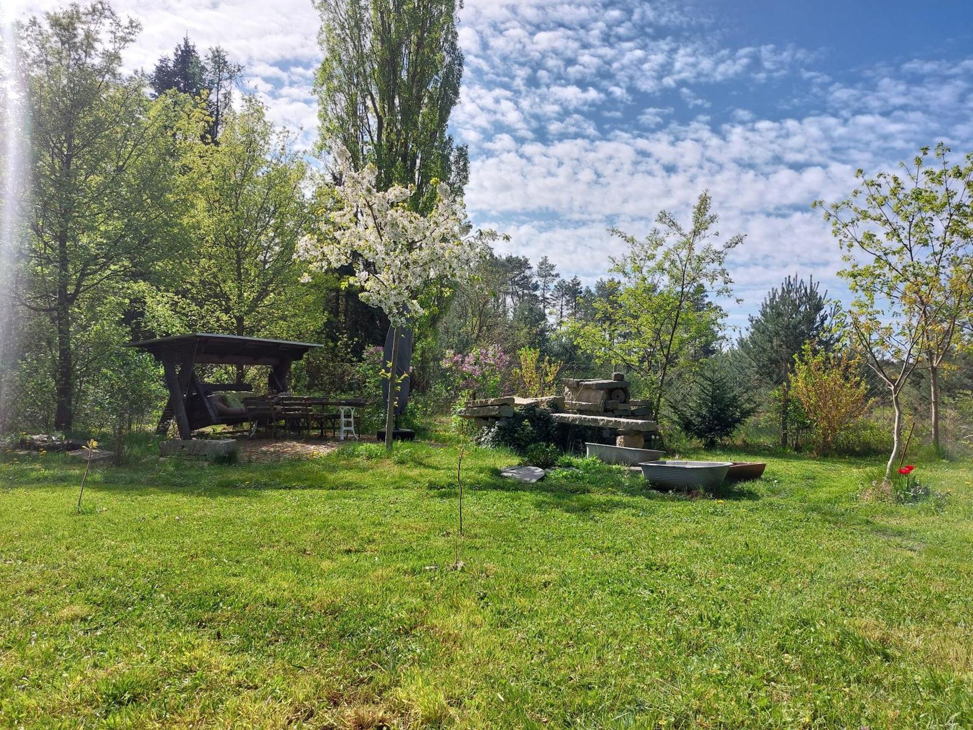 Apartment Gnubbel Am Wald Weisswasser Luaran gambar
